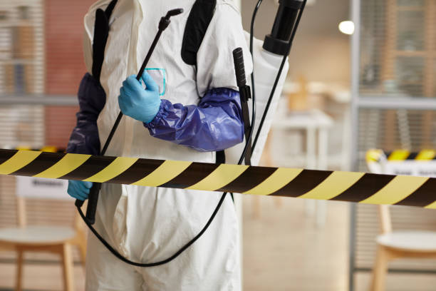 Professional Sewage Cleanup technician working in Oak Grove, MN